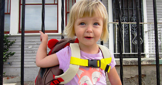 Skip Hop Children's Backpack Hack - Sewingmachinesplus.com