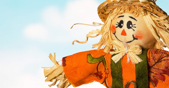 Thanksgiving Sewing Projects - Sewingmachinesplus.com