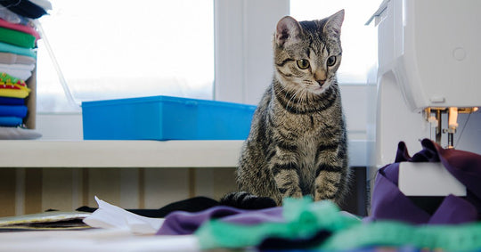 Sewing with Cats - Sewingmachinesplus.com