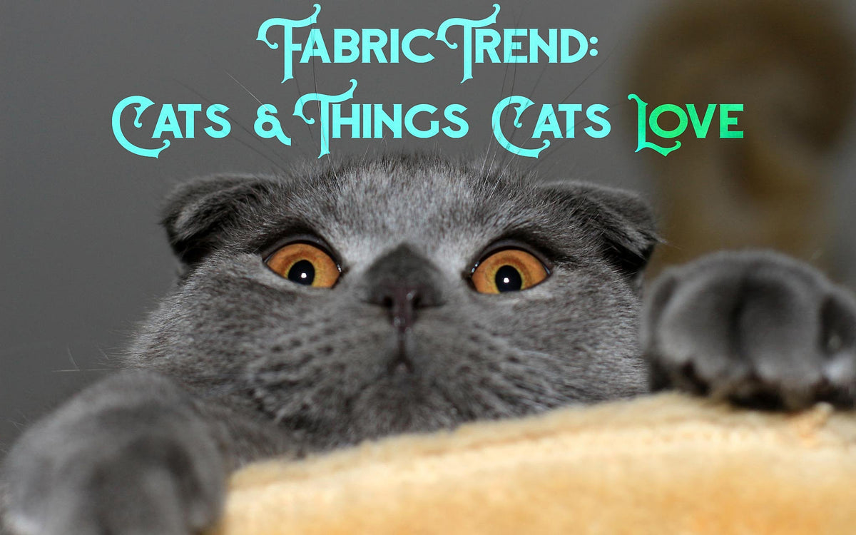 Fabric Trend: Cats and Things Cats Love - Sewingmachinesplus.com