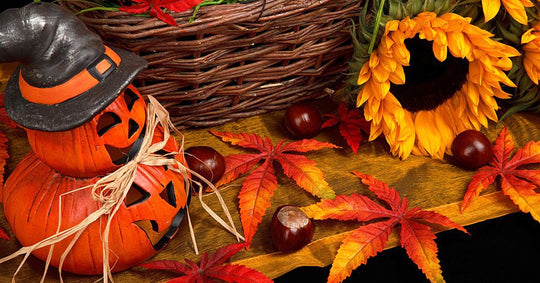 Bringing the Autumn Vibe into Your Home - Sewingmachinesplus.com