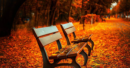 Confetti Quilt-Art for Your Walls - Sewingmachinesplus.com