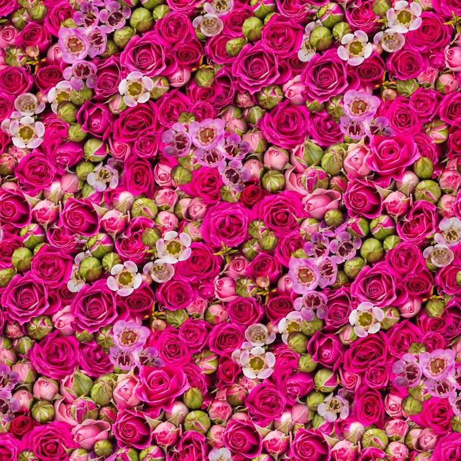 Ready to Sew Budding Romance Pre - cut Quilt Kit - Sewingmachinesplus.com