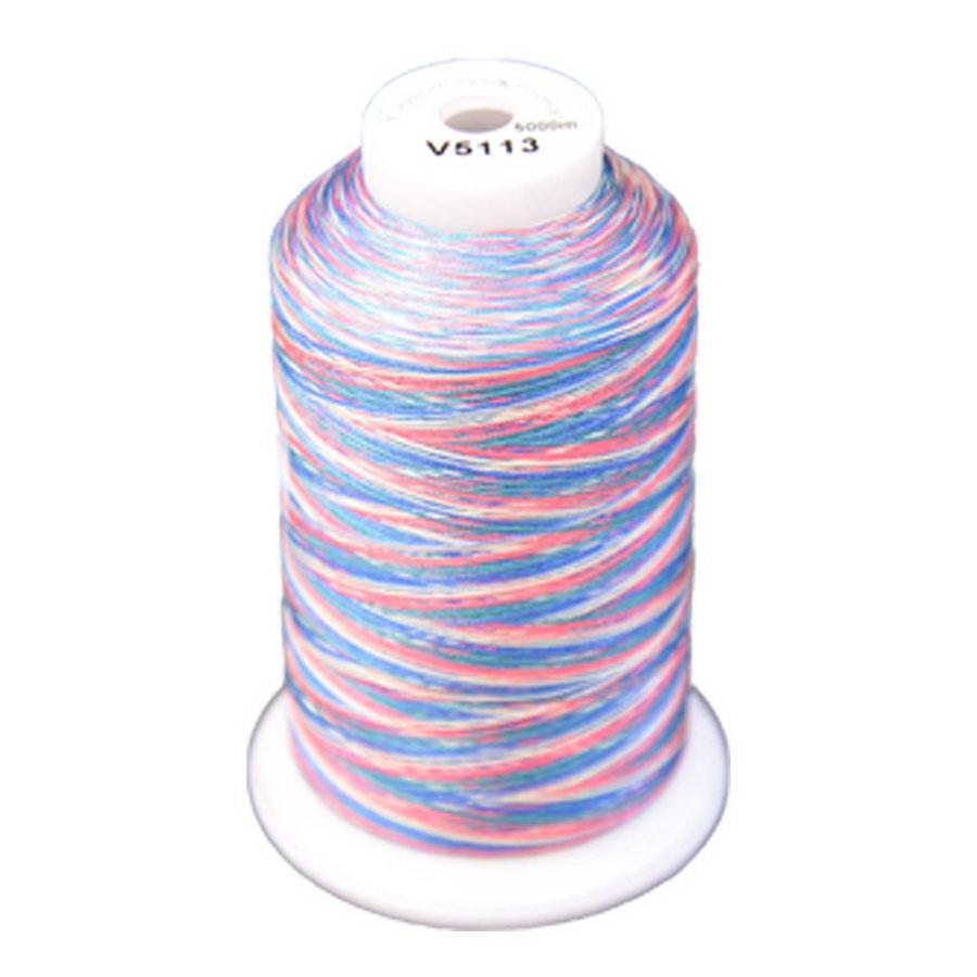 Exquisite Medley Variegated Thread - 113 Carnival 5000M Spool - Sewingmachinesplus.com