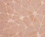 Counter Point Fabric Quilt Kit Version 1 - Sewingmachinesplus.com