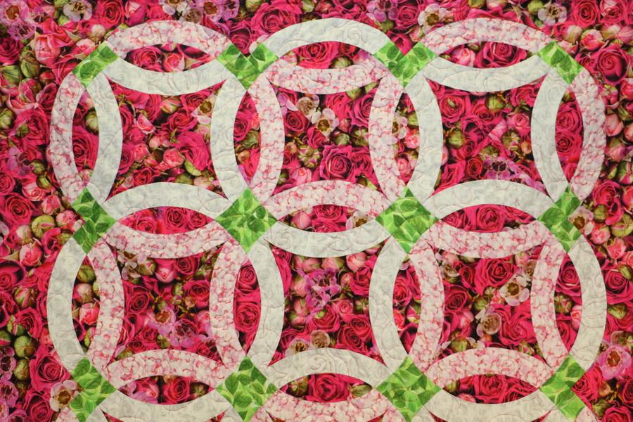 Ready to Sew Budding Romance Pre - cut Quilt Kit - Sewingmachinesplus.com