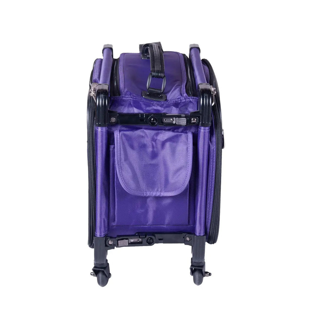 Tutto 17-inch small carry-on luggage on wheels in purple with top handle.
