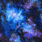 Fabric Palooza Clearance Sale Fabric - 1 Yd