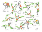 Momo-Dini Embroidery Designs Crane set of 12 with green and orange accents