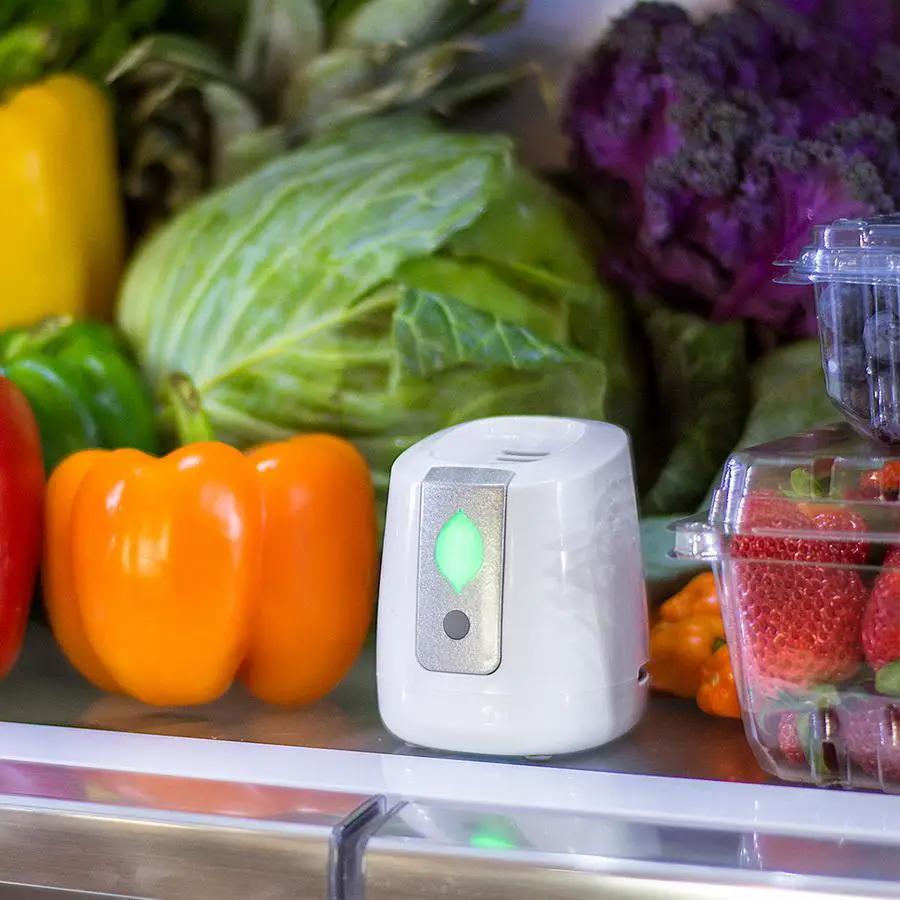 Greentech pureAir FRIDGE Refrigerator Air Purification - Sewingmachinesplus.com