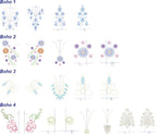 DIME Boho T-Shirts Designs (Earth Tones, Pastels, or Brights) - Sewingmachinesplus.com