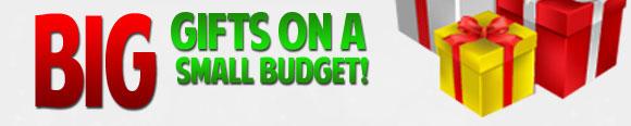 Big Gift on a Small Budget Promotional Banner