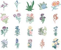 Amazing Designs ADC-47J Botanical Outlines I