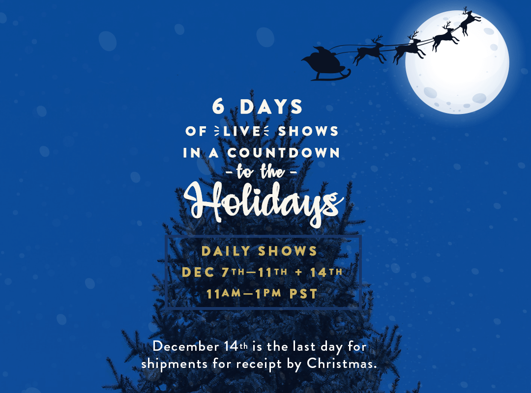Banner for Christmas holiday show with show details