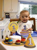 Baby Lock Ellisimo Gold Sewing, Quilting and Embroidery Machine (BLSOG) - Sewingmachinesplus.com