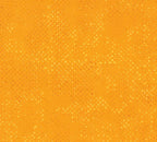 Ready to Sew Dino - Mite Pre - cut Quilt Kit - Sewingmachinesplus.com