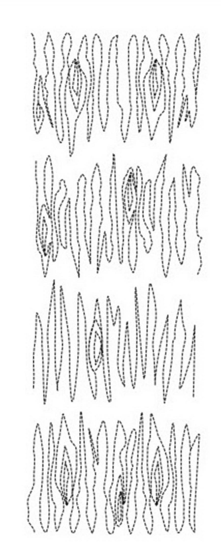 Dime Farmhouse 2 - Lake House Embroidery Designs Collection