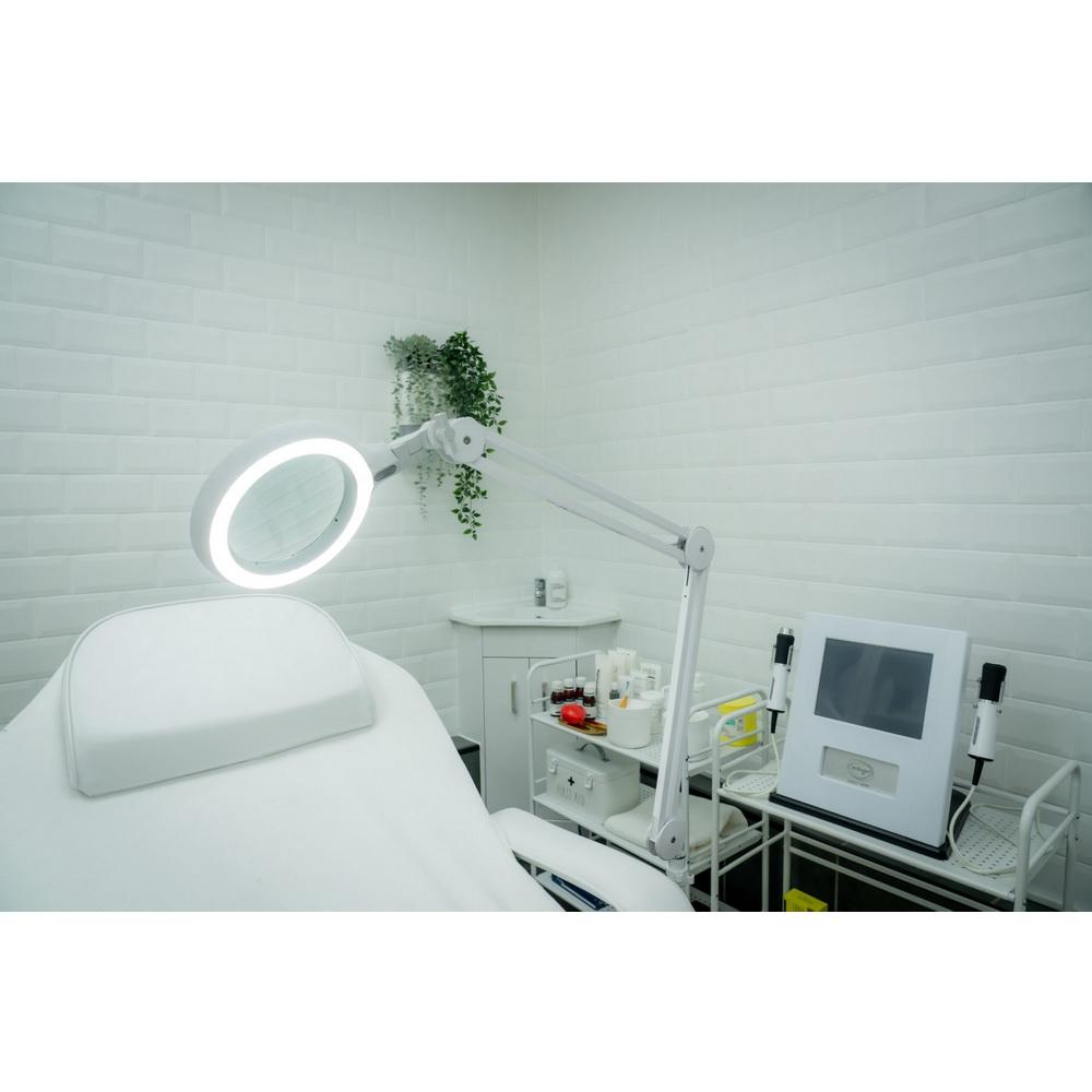 Daylight Omega 5 Magnifying Light - Sewingmachinesplus.com