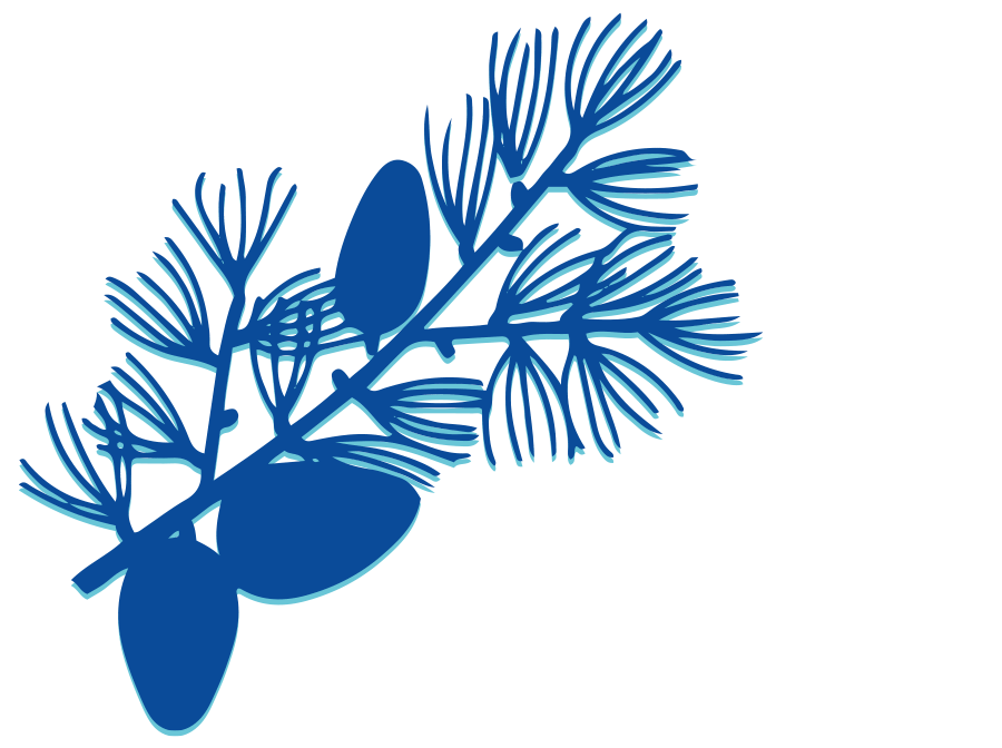 Pine Branch