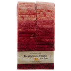 Stonehenge Gradations Brights Hibiscus - 2.5 inch wide Strips 40 Pieces - Sewingmachinesplus.com