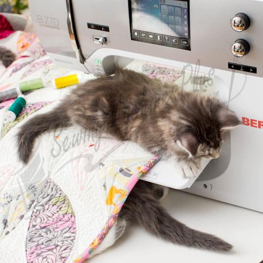 Bernina 770QE Sewing Machine with BSR (Optional Embroidery Unit Available)