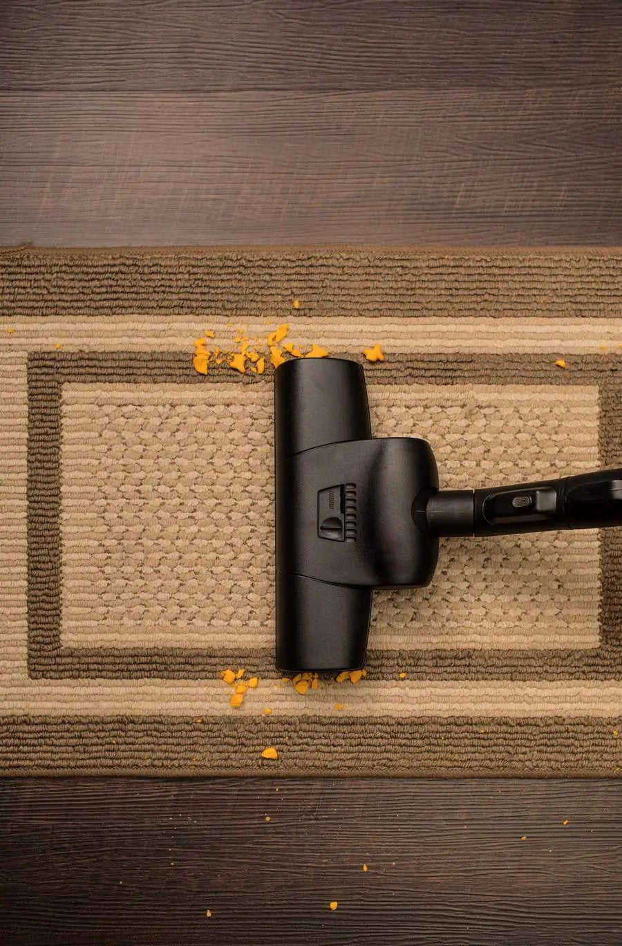 Riccar Prima Straight Suction Canister Vacuum with Turbo Nozzle - Sewingmachinesplus.com