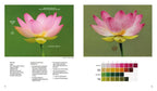 Art Of Chinese Embroidery 2 - Sewingmachinesplus.com