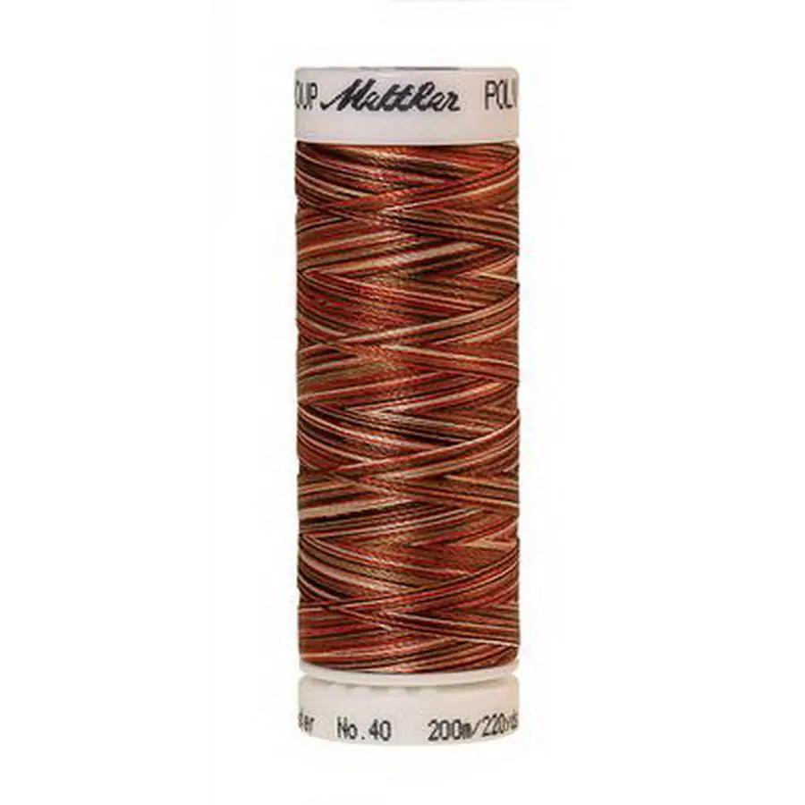 Polysheen Multi 200m 5ct AUTUMN SPICE BOX05 - Sewingmachinesplus.com