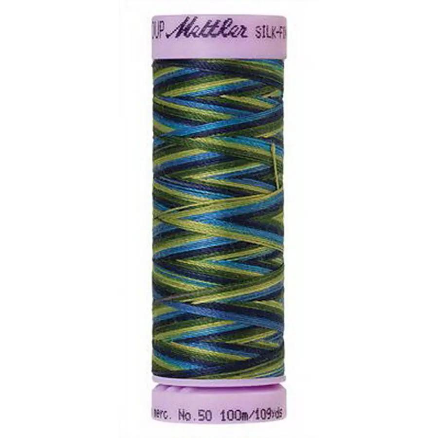 Silk Finish Cotton Multi 100m (Box of 5) LAKESIDE VIEW - Sewingmachinesplus.com