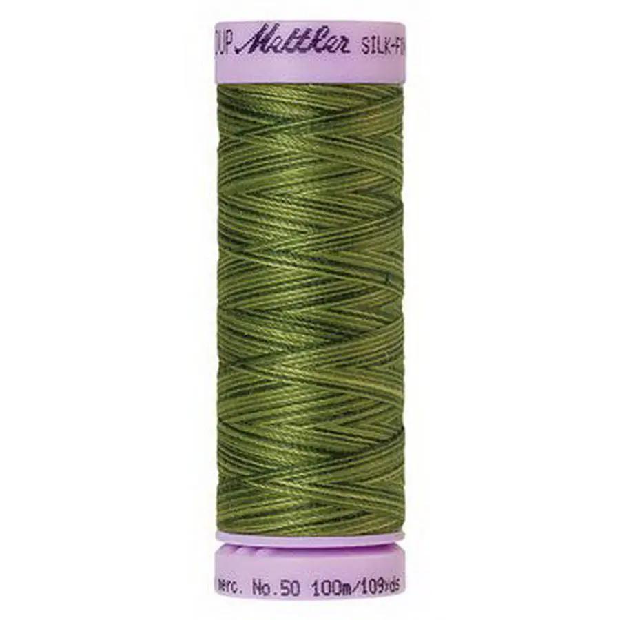 Silk Finish Cotton Multi 100m 5ct FERNS BOX05 - Sewingmachinesplus.com