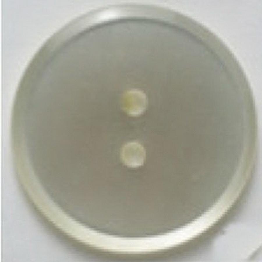 25mm 2 Hole Poly FashionButton BOX06