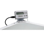 Encore 18x8 Inch Long Arm Quilting Machine w/ Stitch Regulation and FREE Choice of 10 Foot or 12 Foot Phoenix Frame