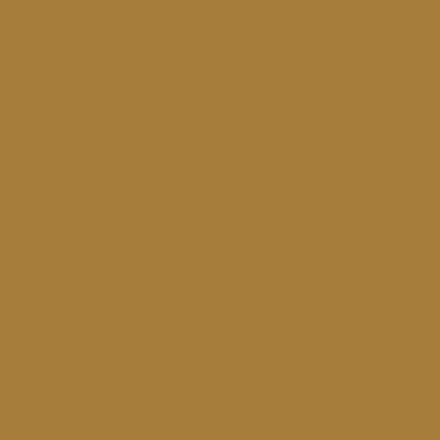 Exquisite Polyester Embroidery Thread - 843 Maple Sugar 1000M Spool