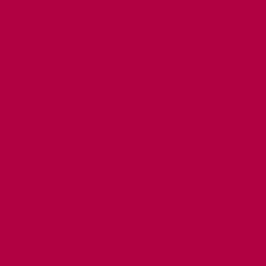 Exquisite Polyester Embroidery Thread - 54 Neon Fuchsia 1000M Spool