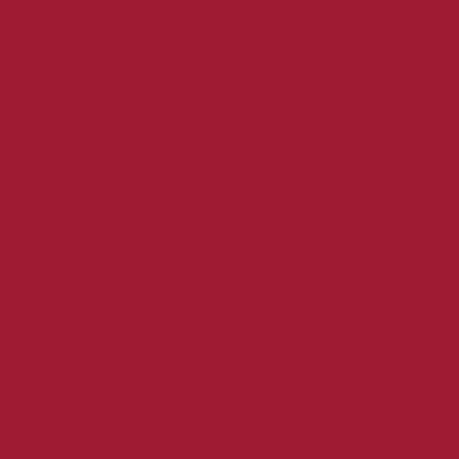 Exquisite Polyester Embroidery Thread - 213 Jockey Red 1000M