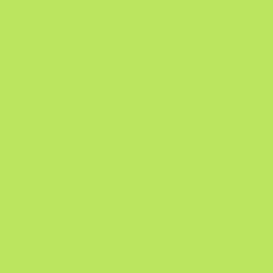 Exquisite Polyester Embroidery Thread - 21 Spring Green 1000M
