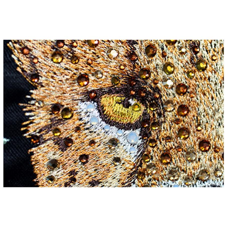 Anita Goodesign Big Cats (44 Designs) - Sewingmachinesplus.com