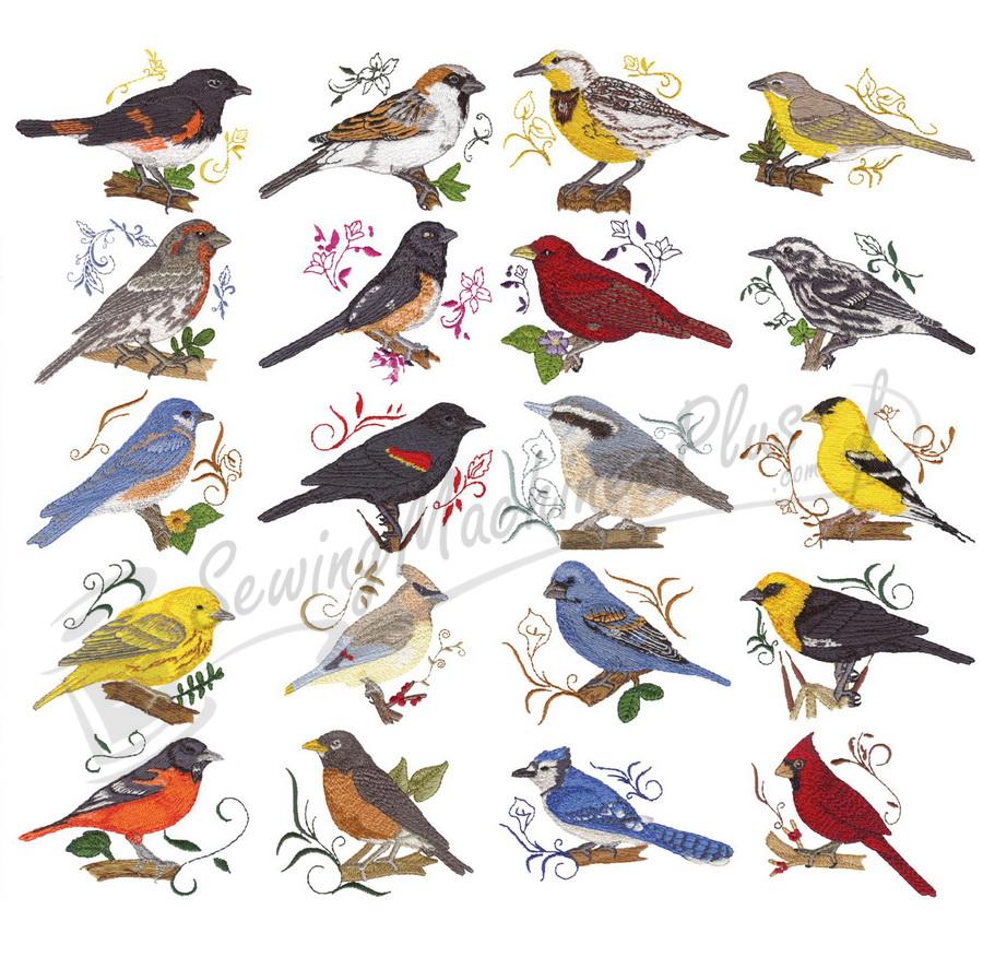 Dakota Collectibles Sweet Songbirds Embroidery Designs - 970397