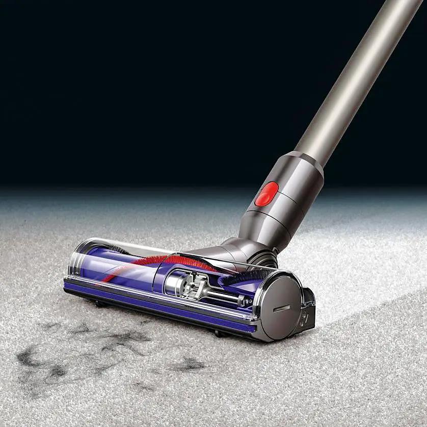 Dyson V8 Animal cordless stick vacuum head with purple dust cup and red brush on carpet