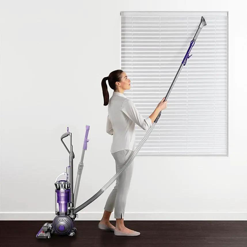 Dyson Ball Animal II UP20AN Vacuum - Sewingmachinesplus.com