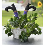 Embroidery Garden Kitchen Bundle - Sewingmachinesplus.com