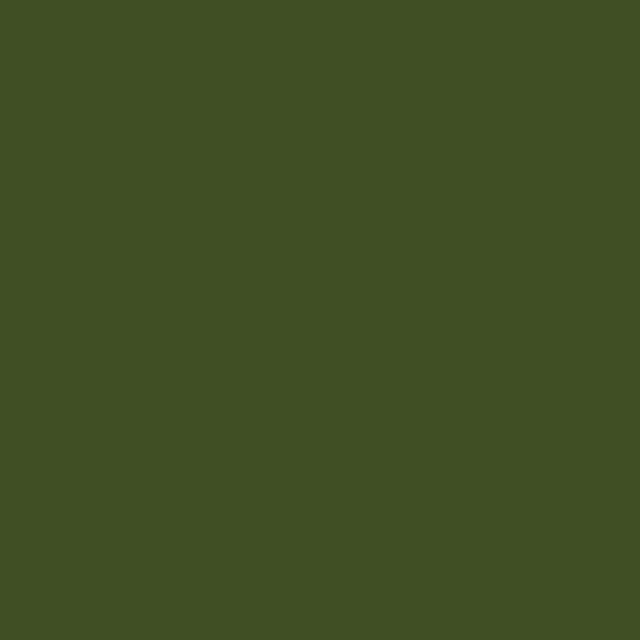 Exquisite Polyester Embroidery Thread - 955 Olive Drab 1000M