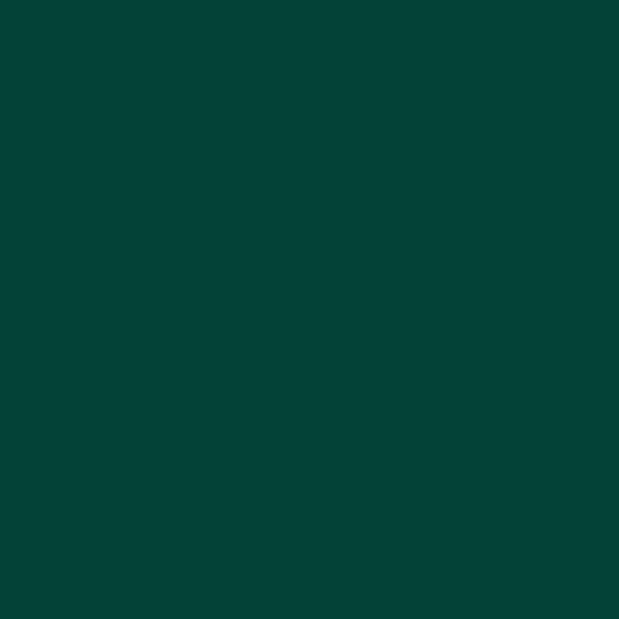 Exquisite Polyester Embroidery Thread - 995 Spruce 1000M