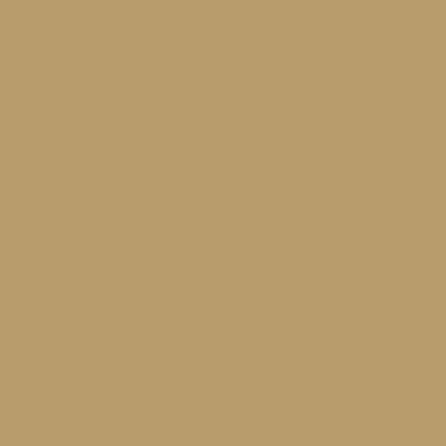 Exquisite Polyester Embroidery Thread - 1148 Safari 1000M