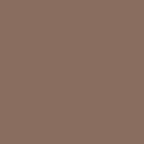 Exquisite Polyester Embroidery Thread - 4371 Prairie Beige 1000M Spool