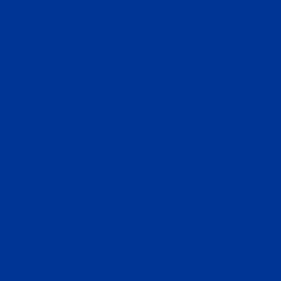 Exquisite Polyester Embroidery Thread - 4453 Celtic Blue 1000M