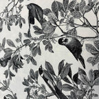 Fabric Palooza Clearance Sale Fabric - 1 YD - Sewingmachinesplus.com