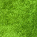 Fabric Palooza Clearance Sale Fabric - 3 YD - Sewingmachinesplus.com