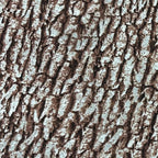 Fabric Palooza Clearance Sale Fabric - 3 YD - Sewingmachinesplus.com