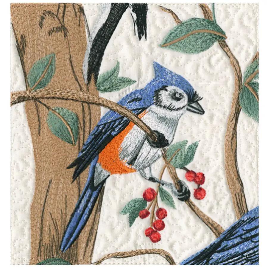 Anita Goodesign Songbirds 156AGHD - Sewingmachinesplus.com